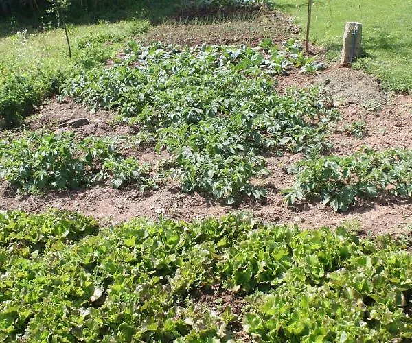 Apartment Loft Caminha