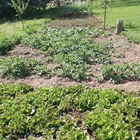 Apartament Loft Caminha